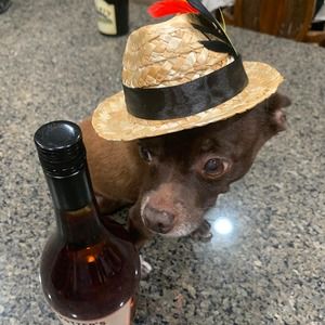 Meet your Posher, Patricia